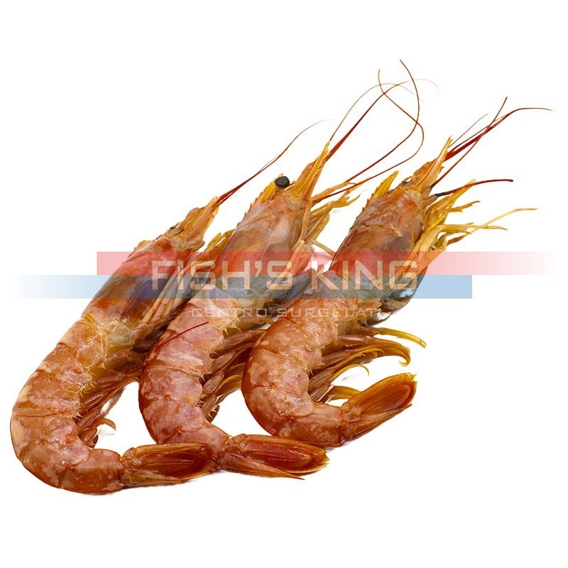 Gamberi Argentini Surgelati Al Kg