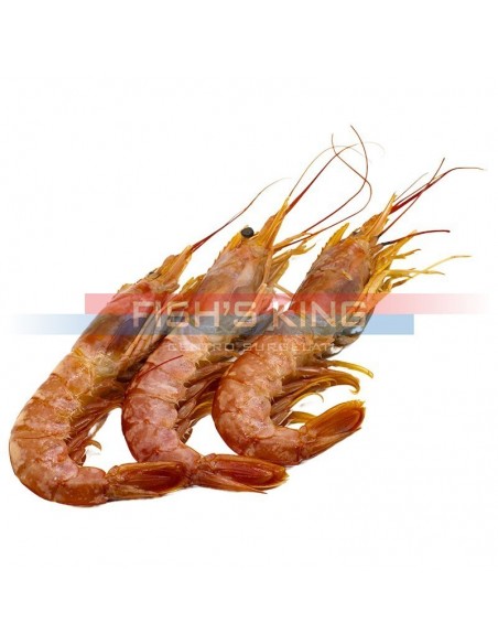 Gamberi Argentini Surgelati Al Kg