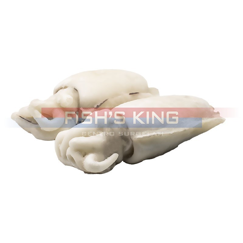 Seppia Pulita Intera Surgelata Al Kg