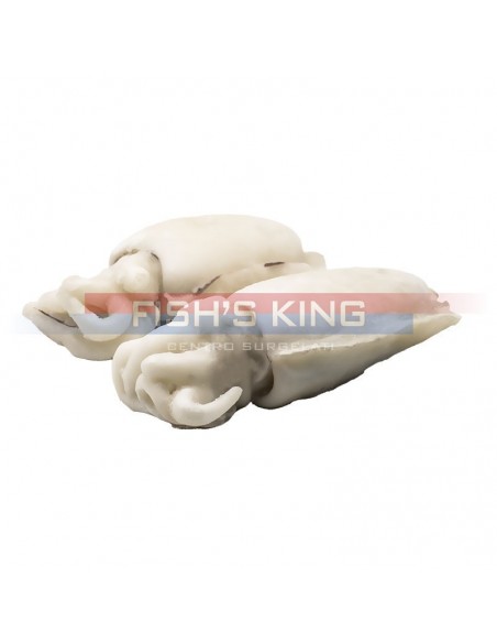 Seppia Pulita Intera Surgelata Al Kg