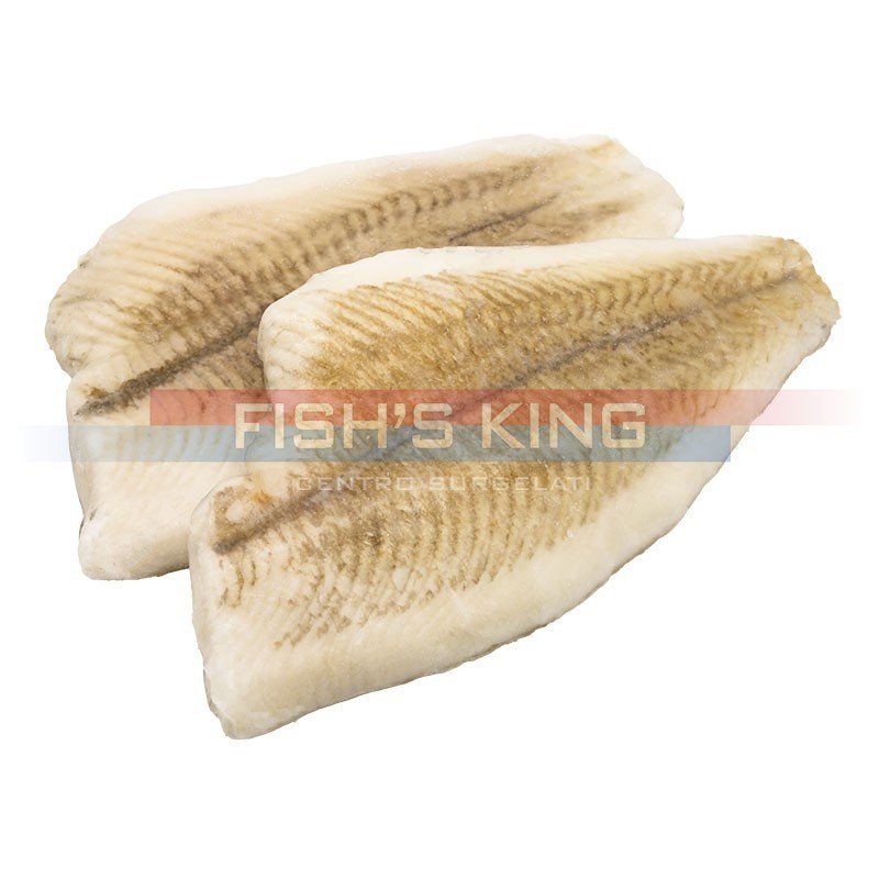 Filetto Platessa Surgelati Pezzatura N°2 Al Kg