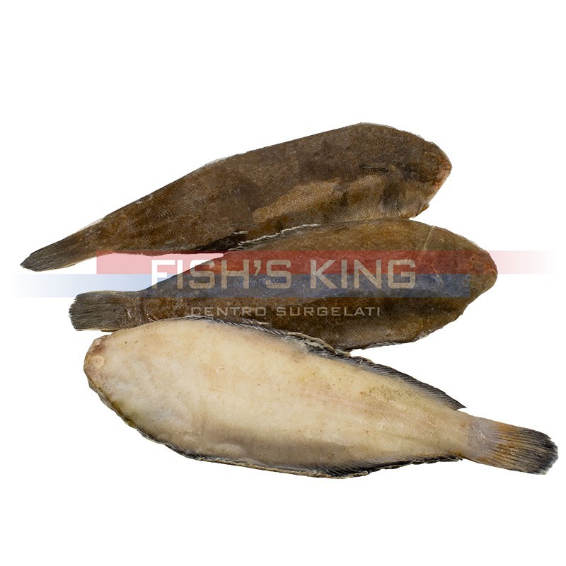 Sogliola Dover N° 5 Surgelata Al Kg