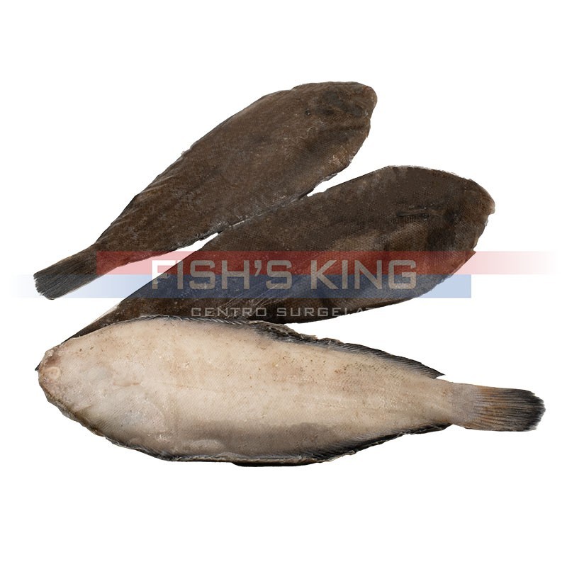 Sogliola Nera Media Surgelata Al Kg