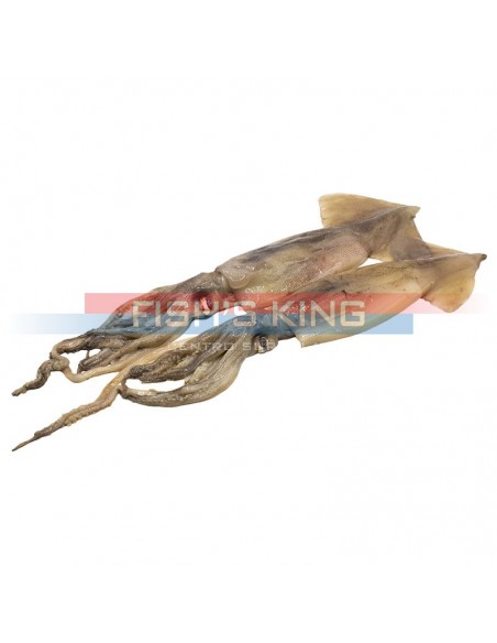 Totano Atlantico Surgelato Al Kg