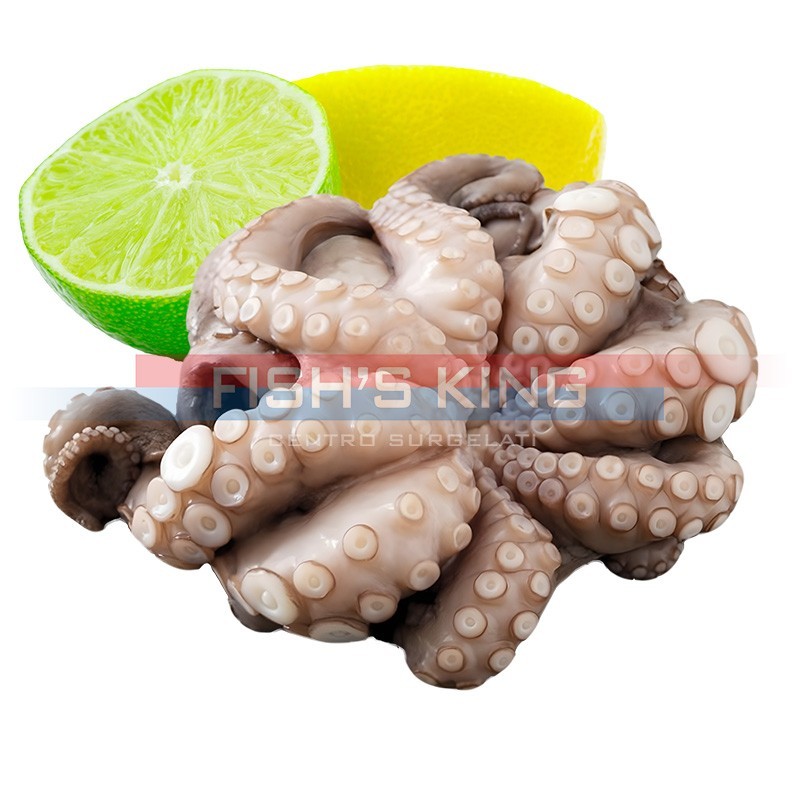 Polpo Piccolo Surgelato Al Kg