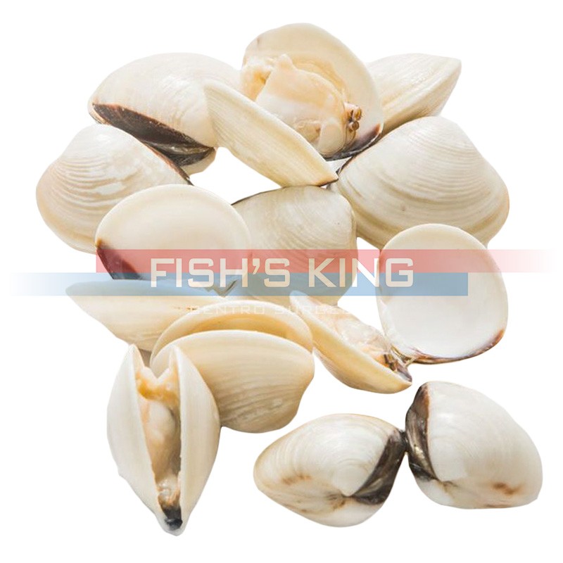 Vongole Con Guscio Surgelate Pezzatura 40/60 Confezione...