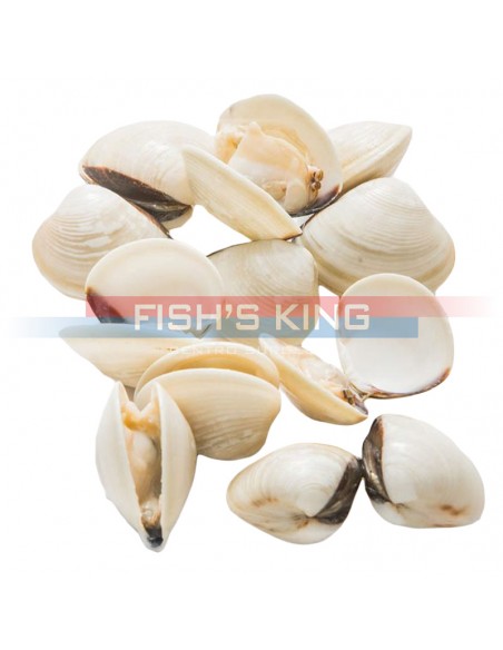 Vongole Con Guscio Surgelate Pezzatura 40/60 Confezione Da 1 Kg