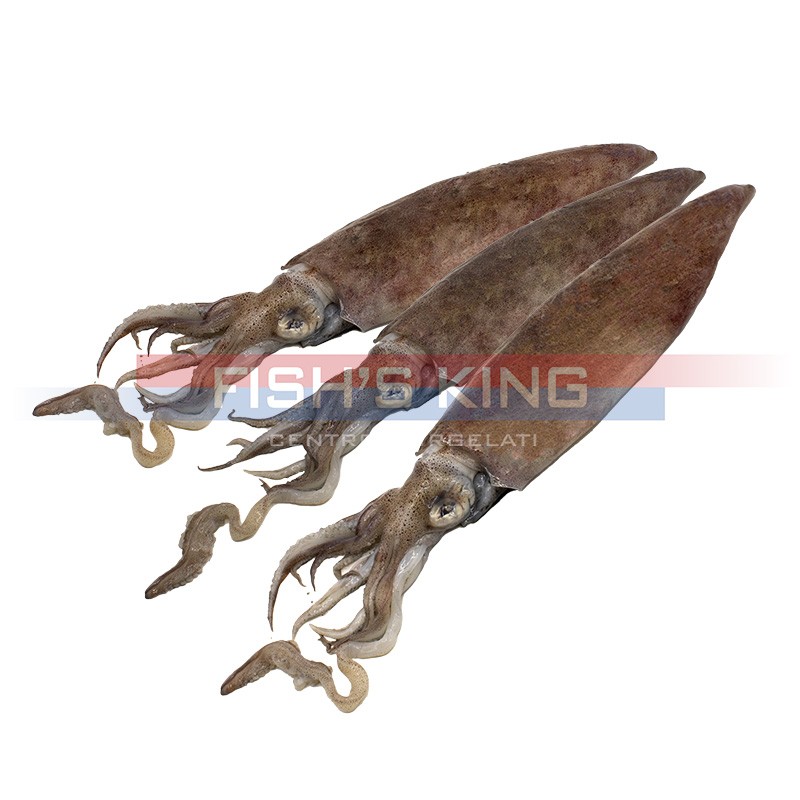 Calamari Surgelati Pezzatura 3/6 Confezione Da...