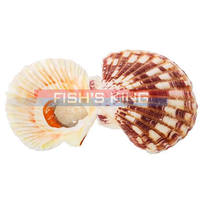 Cappesante Mezzo Guscio Surgelate Pezzatura...